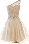 Robe de Cocktail Perle Tulle Glamour Manquant Naturel taille aligne - Page 5